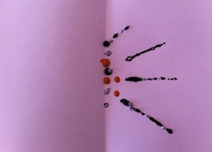 insetto con le macchie di colore