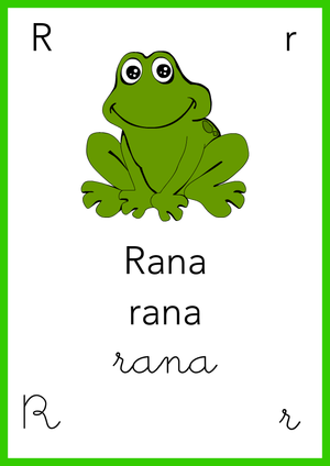 Alfabeto: R come Rana - Colore