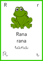 Alfabeto: R come Rana